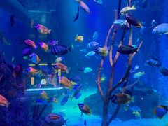 -沈阳海洋探索中心