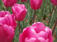 -公益图书馆(江南大学店)