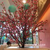 地理位置:铜锣湾5楼coco店 环境: 店面比较大