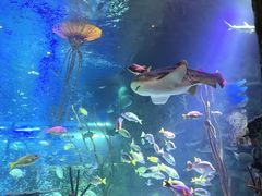 -沈阳海洋探索中心