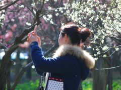 -白塘生态植物园