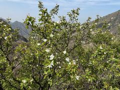 -秦岭终南山世界地质公园翠华山景区