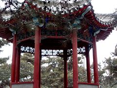 -紫竹院公园冰场