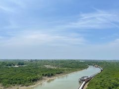 -东寨港红树林旅游区