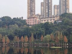 -重庆彩云湖湿地公园