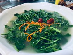 -石岐乳鸽村(南海第三分店)