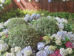 -一尺花园(安和花园店)