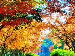 -白马涧龙池景区