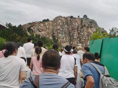 -西霞口神雕山野生动物世界