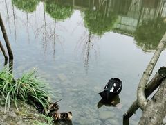 -洪湖家庭农场·团建·露营·会议