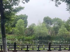 -水月周庄铂尔曼酒店 · 漾全日餐厅