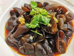 捞汁木耳-海之味海鲜大咖·家常菜