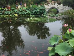 -武清南湖绿博园