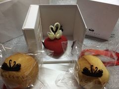 -BLACKSWAN黑天鹅(环球店)