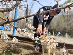 -长白岛森林公园