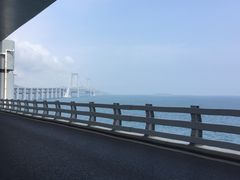 -星海湾跨海大桥