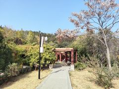 -北宫国家森林公园