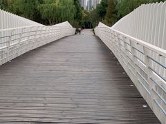 -南翔镇银翔湖公园