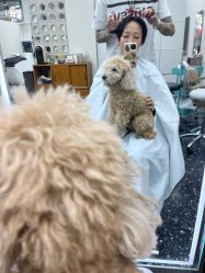 -Hair Co.一间沙龙