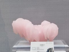 -湖南省地质博物馆