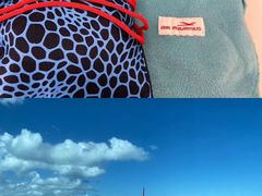 -西沃古尔·拉姆古兰爵士国际机场