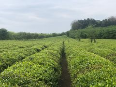 -凤凰沟景区