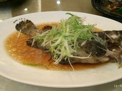 -東海薈。拉斐特(青衣城店)