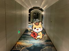 -上海闵行星河湾酒店