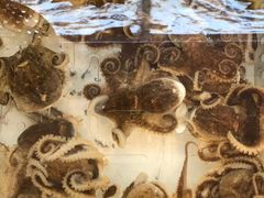 -山海经·海边人家 海鲜新青岛菜(扬州路店)