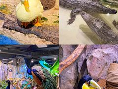 -正佳雨林生态植物园
