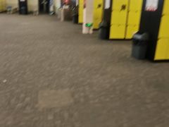 -蓟洲国际滑雪场