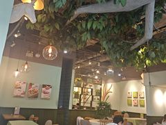 -仙踪林(惠润广场店)