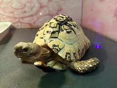 -上海大自然野生昆虫馆