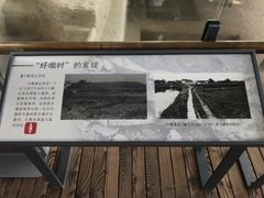 -圩墩遗址公园