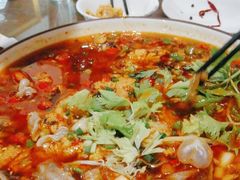 -飞虹鱼馆(春华路店)