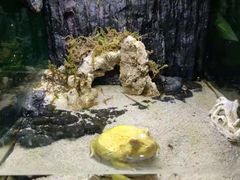 -石家庄海洋公园