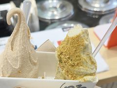 -野人先生现做冰淇淋(西安赛格店)