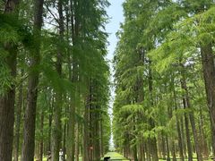 -渌洋湖湿地公园