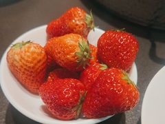 -额尔敦·品质自助(摩尔城店)