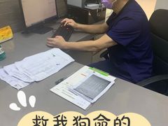 -爱侣宠医·鹦鹉专科·小型哺乳类·异宠专科(灵石路店)