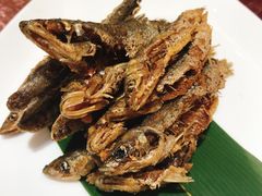 -苏州冠云大酒店