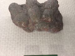 -珠海市博物馆