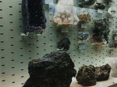 -浙江自然博物院(杭州馆)