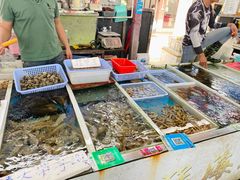 -南沙十九涌渔人码头-南门