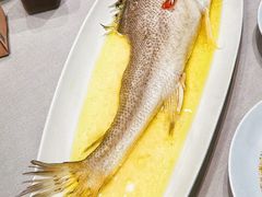 拉菲大黄鱼-颂福楼·南京菜(定淮门店)