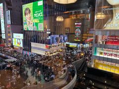 -蟹道乐(道顿堀本店)