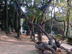 android_upload_pic-八大关景区