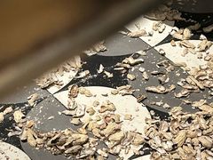 -Long Bar(莱佛士酒店)