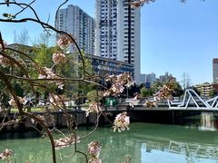 -红星桥(地铁站)