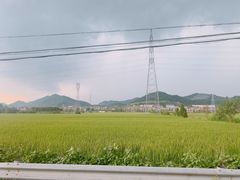 -李东农庄(中南百草园地标店)